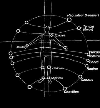 les Chakras de l'être physique